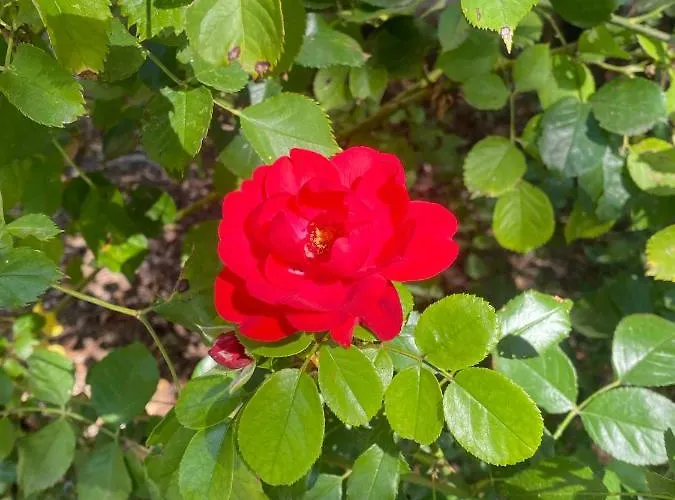 La Vecchia Stazione Ravena